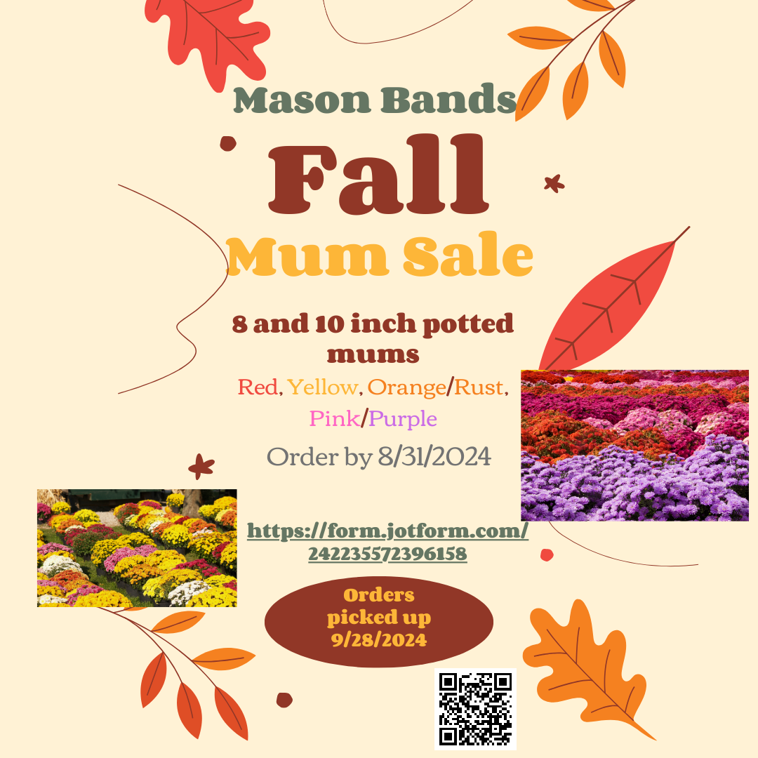 Flyer for Fall Mum Sale